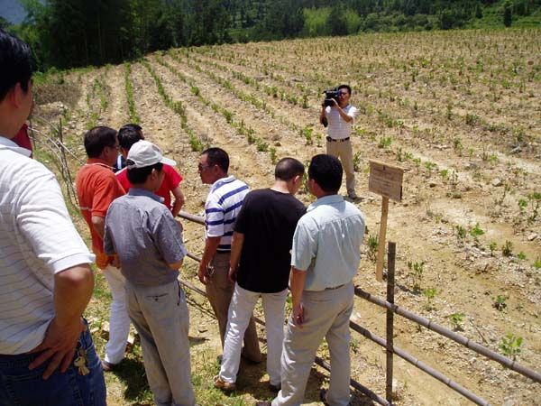 點(diǎn)擊新窗口打開(kāi)大圖