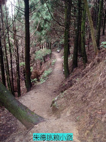 點(diǎn)擊新窗口打開(kāi)大圖