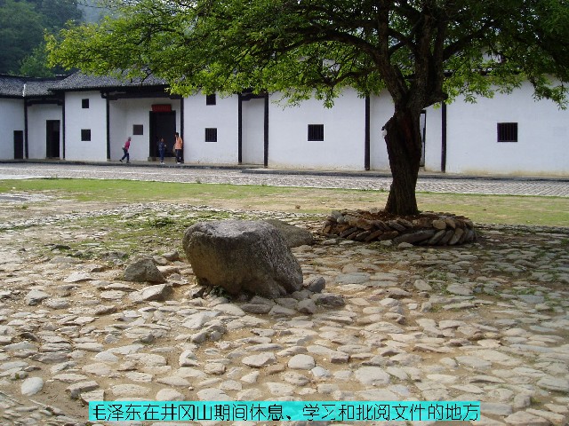 點(diǎn)擊新窗口打開(kāi)大圖