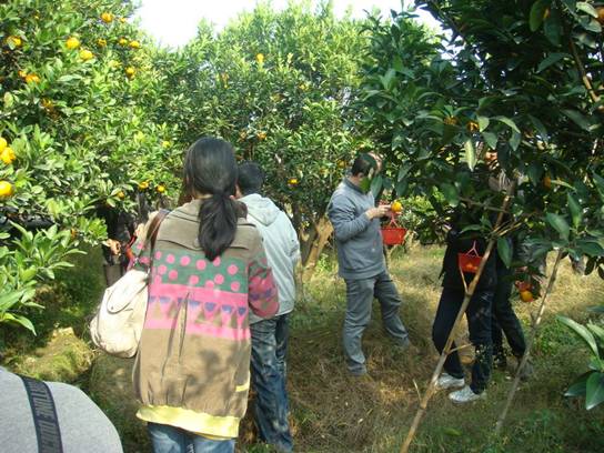 點(diǎn)擊新窗口打開(kāi)大圖