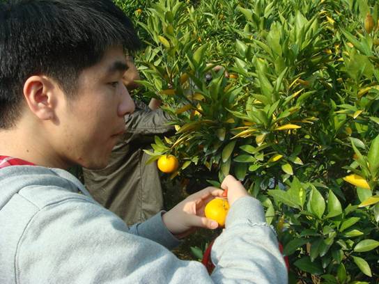 點(diǎn)擊新窗口打開(kāi)大圖