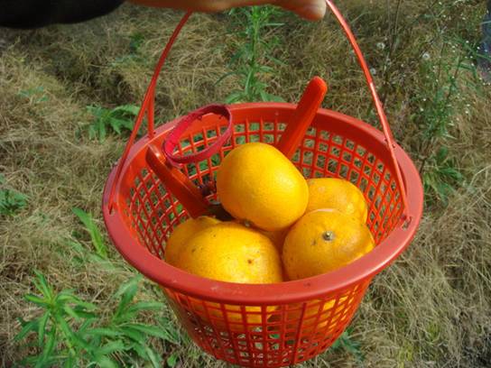 點(diǎn)擊新窗口打開(kāi)大圖