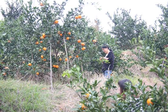 點(diǎn)擊新窗口打開(kāi)大圖