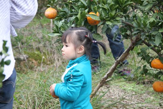 點(diǎn)擊新窗口打開(kāi)大圖