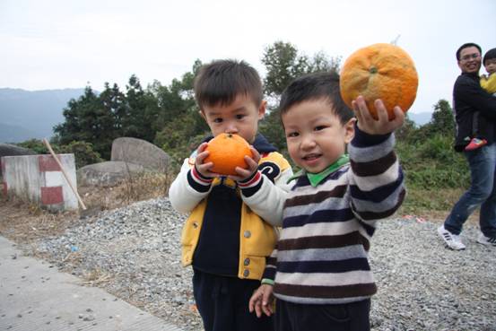 點(diǎn)擊新窗口打開(kāi)大圖